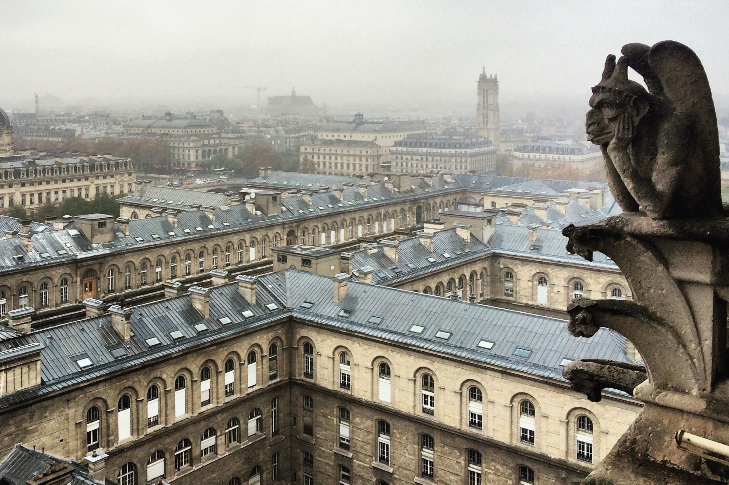 Processed with Snapseed.