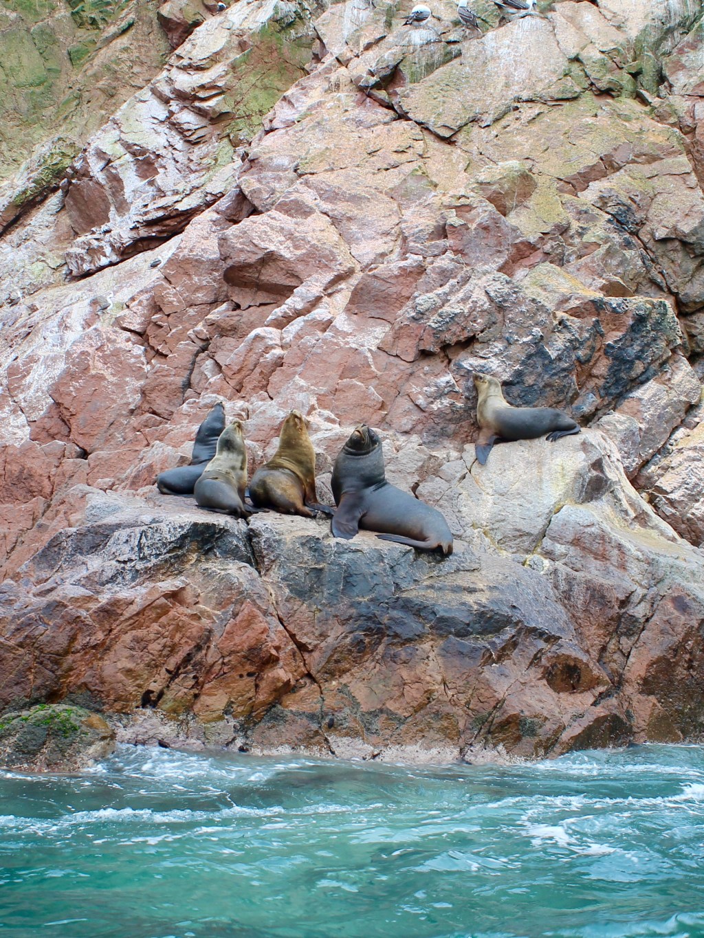 Peru’s Pacific Coast: Lima, Huacachina &&nbsp;Nazca