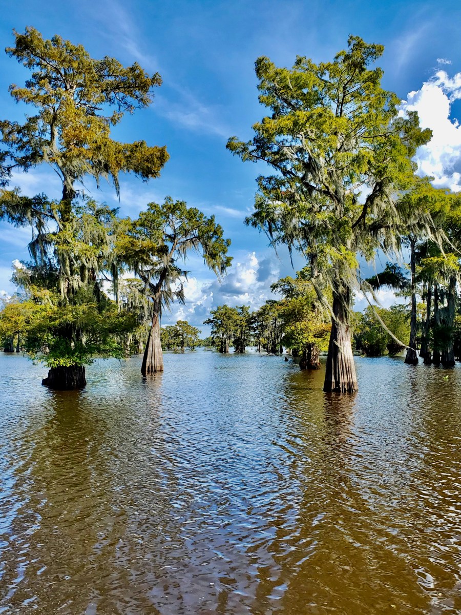 The Best of the Bayou: Weekend Road Trip Itinerary in&nbsp;Louisiana