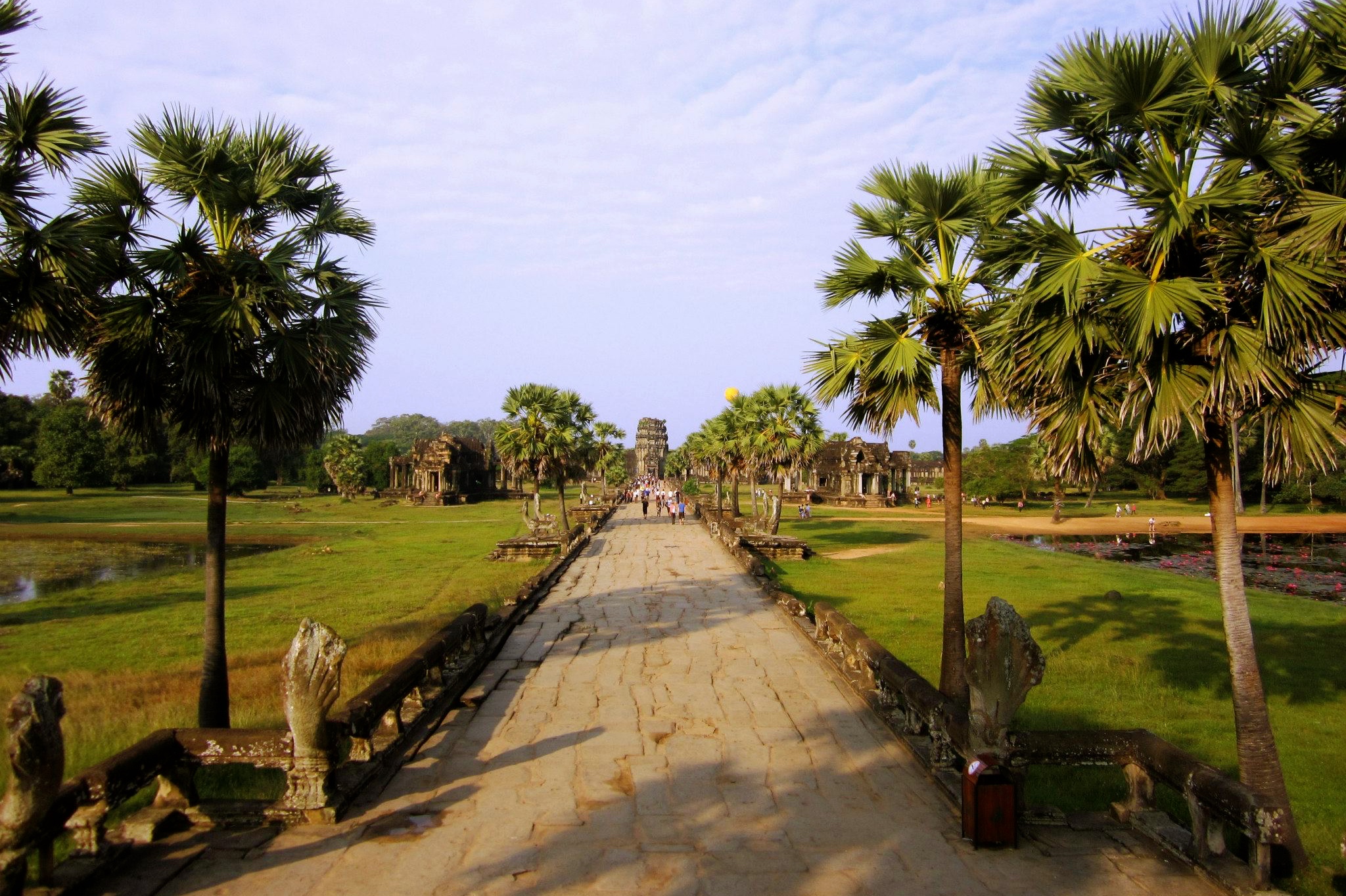 410993_10200092733584156_1003454711_o