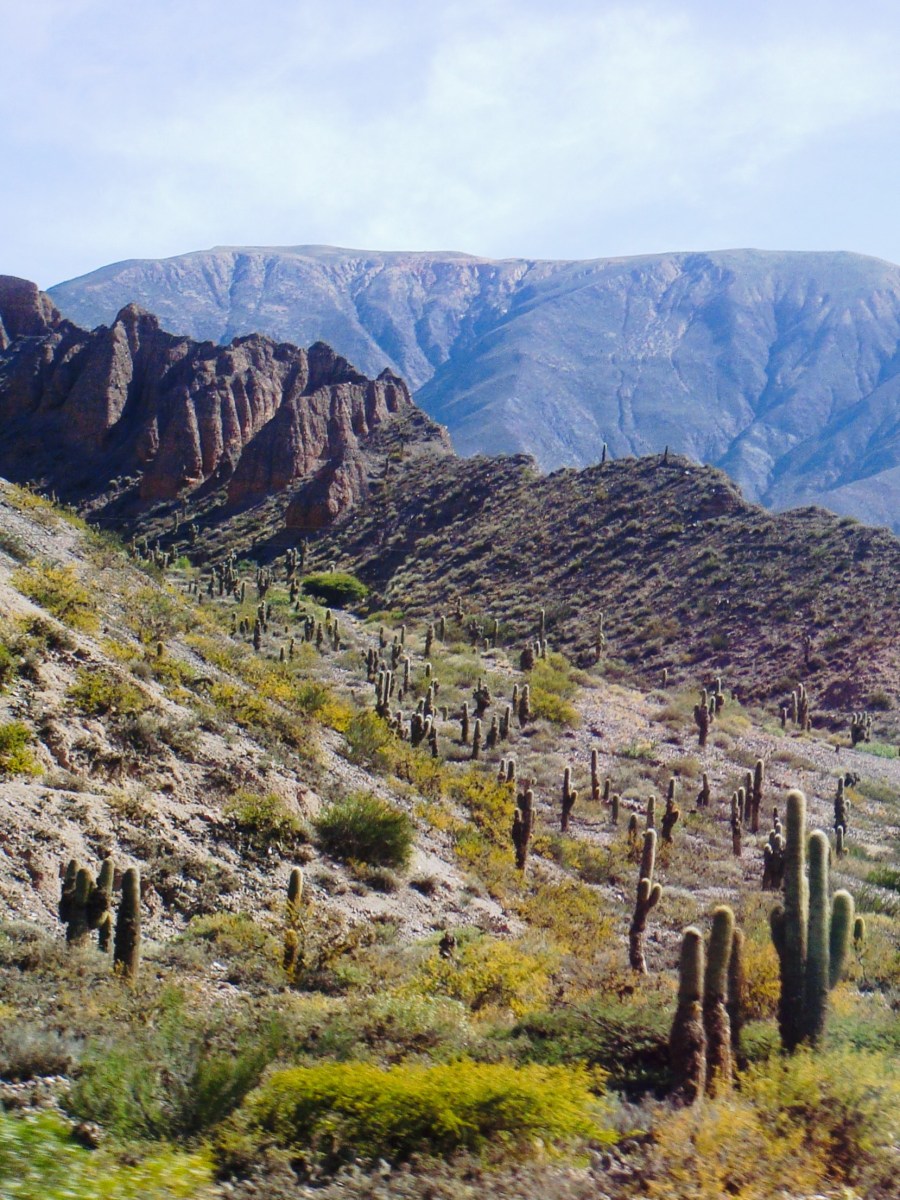 A Complete Two-Week Road Trip Itinerary in&nbsp;Argentina