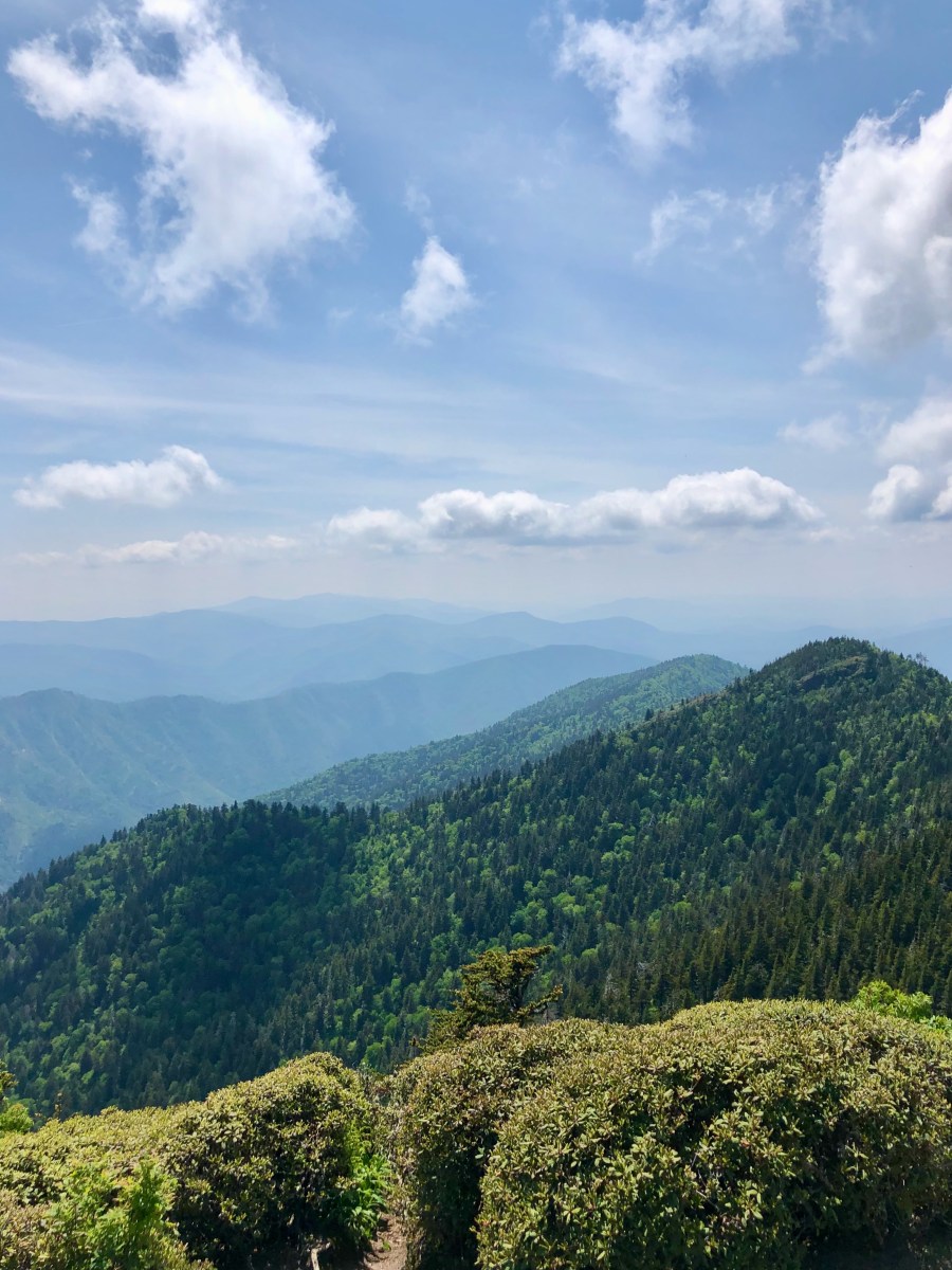 10 Days, 10 States: On the Road in Southern USA&nbsp;(I)